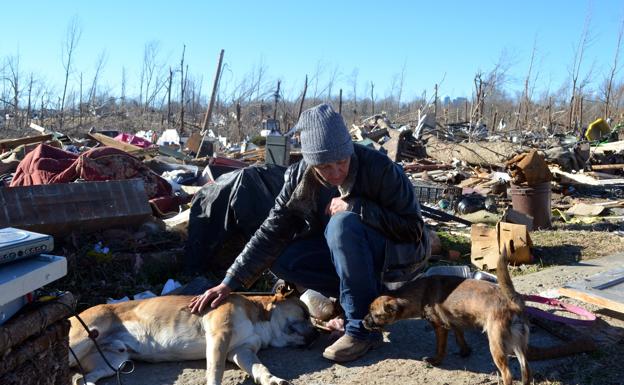 Investigado un hombre por maltrato a ocho perros en Valencia