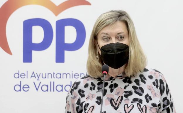 El PP de Valladolid pide el cese del edil de Salud Pública por la suciedad en las calles