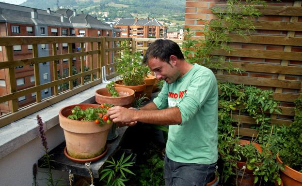 Agricultura de hormigón