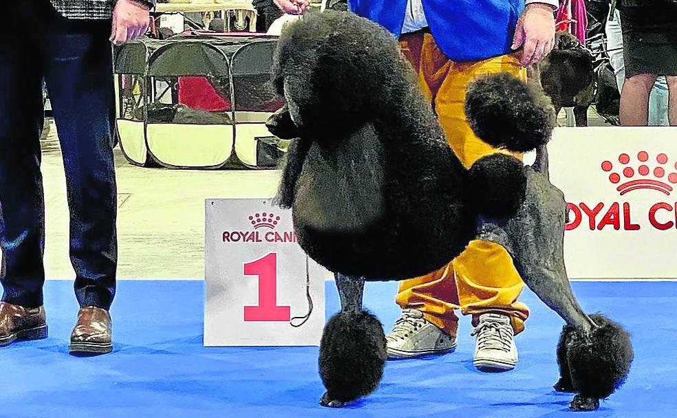 Oprah, de los campos de Palencia a reina de Europa