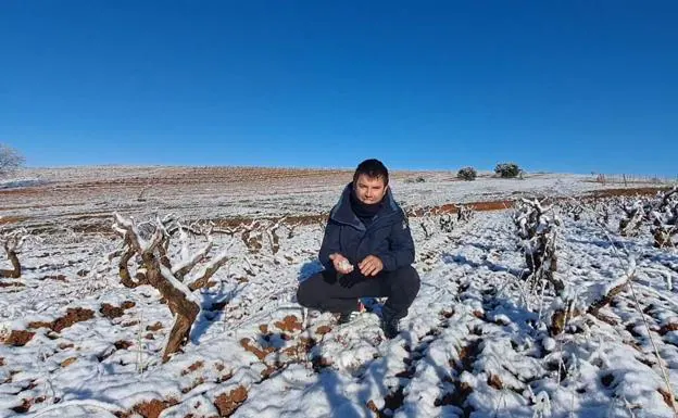 El tiempo esta semana: el viñedo burgalés se beneficia de la nieve de los últimos días