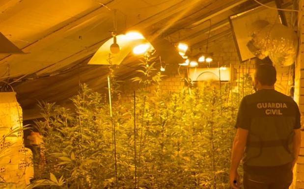 La Guardia Civil detiene a dos personas por cultivar marihuana en una casa en Zarzuela del Monte