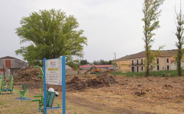 Cuéllar anima a participar en las plantaciones de árboles de esta semana