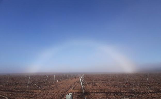 Los sorprendentes arcos que deja la niebla en La Seca