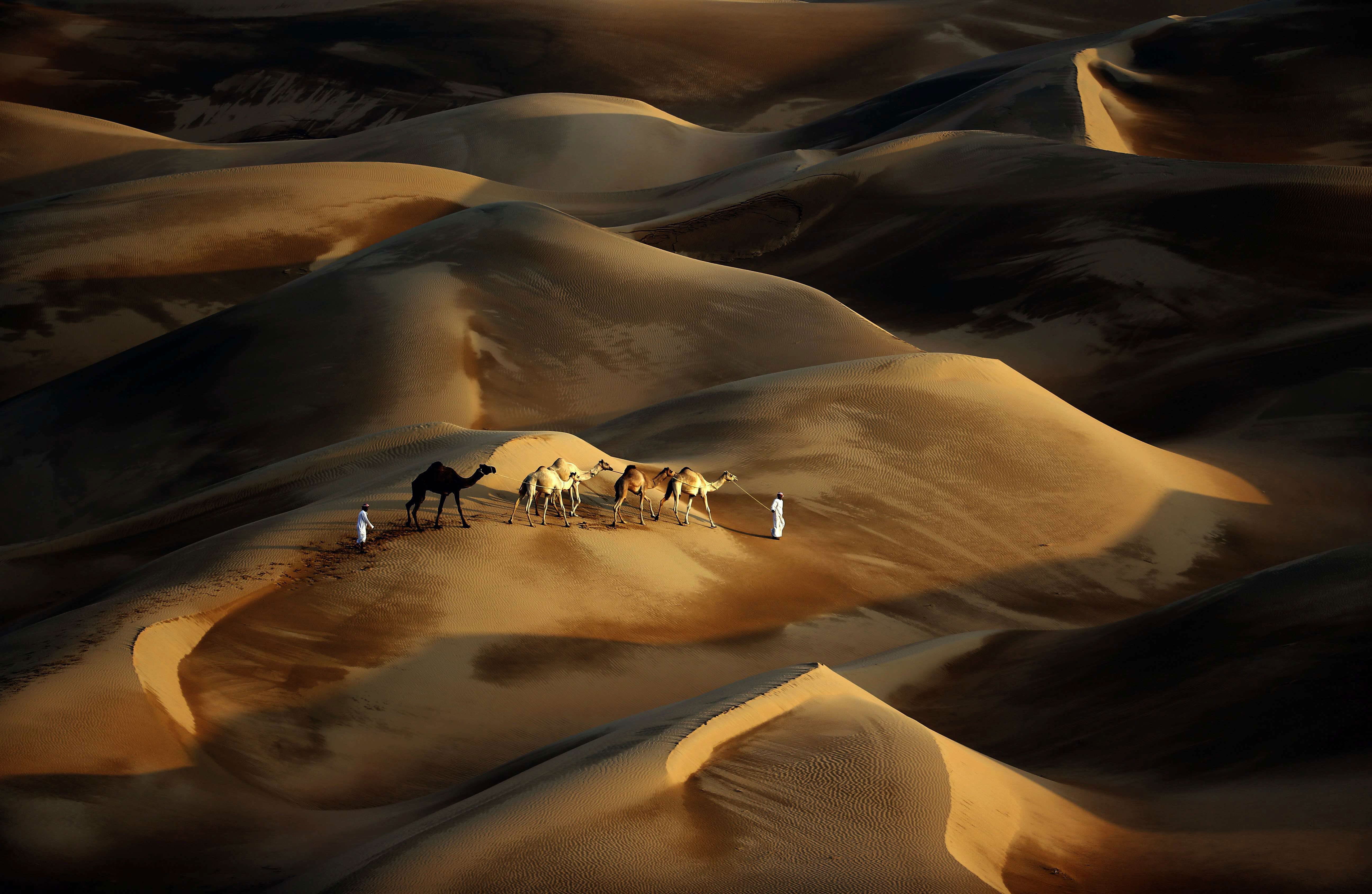 Desiertos, templos de lo que somos