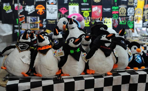 Información útil para disfrutar de Pingüinos 2022