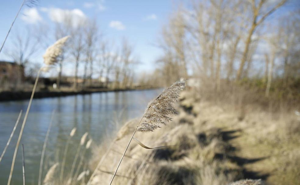 Ruta del Canal de Castilla, en Medina de Rioseco