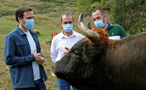 Garzón como síntoma