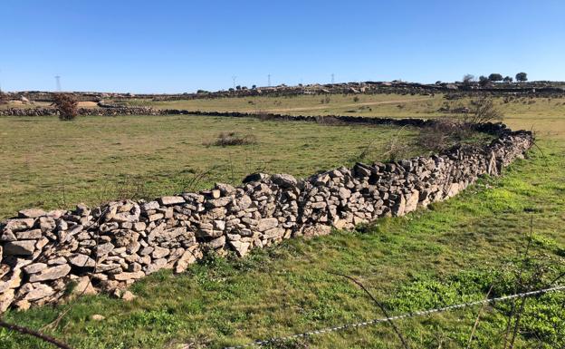 Asaja pide que se levante el acotamientos de pastos en San Felices, Salamanca