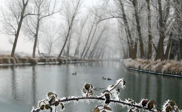 Siete provincias de Castilla y León entrarán en alerta amarilla por frío este viernes