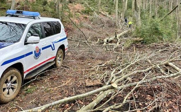 Muere un trabajador de Burgos mientras realizaba trabajos forestales en Álava