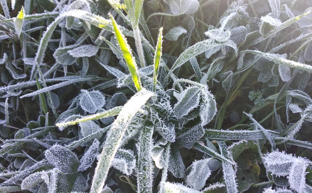 Cuéllar supera los 9 grados bajo cero durante la madrugada