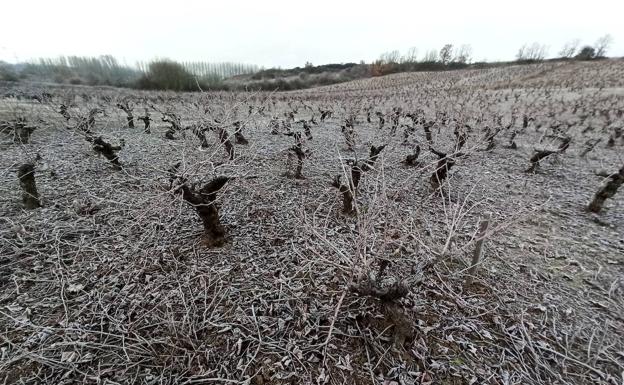 Protección Civil alerta de temperaturas de hasta -8 grados en seis provincias de Castilla y León
