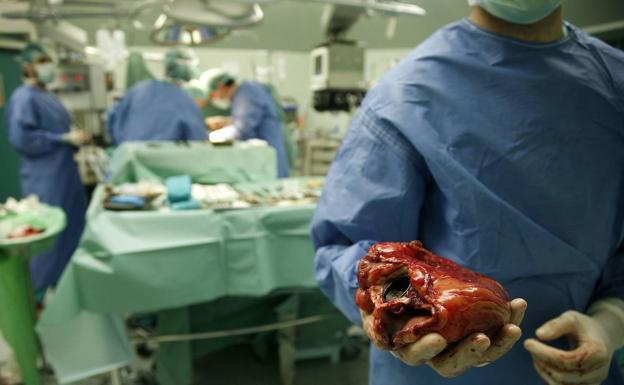 Castilla y León roza el centenar de donaciones de órganos en 2021