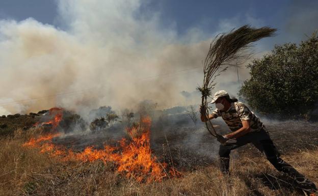 Los ganaderos podrán volver a aprovechar los pastos afectados por el incendio forestal de San Felices