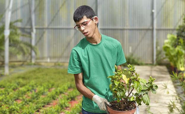 'Incorpora' de la Fundación 'la Caixa' facilitó 258 nuevos empleos a personas vulnerables en Salamanca durante 2021