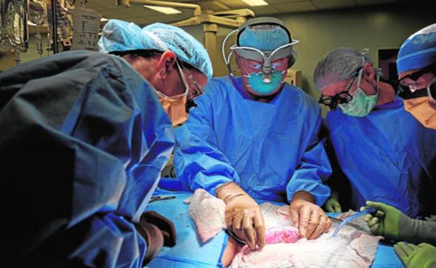 Respuestas al debate sobre el trasplante de corazón de cerdo