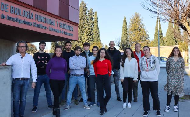 La USAL avanza en la investigación de los procesos de neurodegeneración en la enfermedad rara de Batten