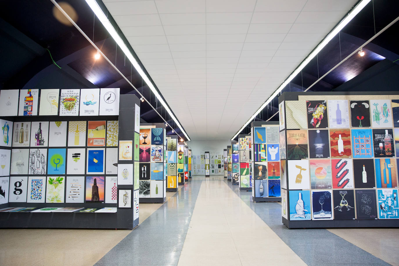 El artista Javier Mariscal vuelve a ser jurado de la Bienal Internacional de Cartelismo que organiza Terras Gauda