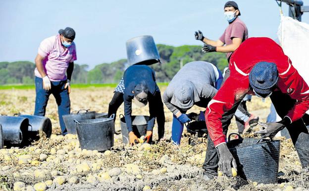 Reforma laboral en el agro