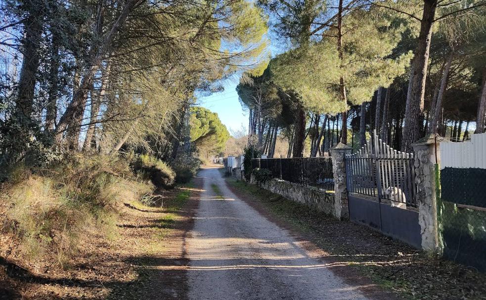 La urbanización de Traspinedo hacia la que todo el mundo miró