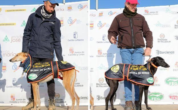 Castilla y León se impone en el Campeonato Nacional de galgos
