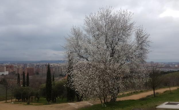 Las temperaturas máximas rondarán hoy los 20 grados en Castilla y León