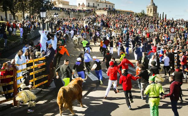 Cs Ciudad Rodrigo defiende el Carnaval del Toro con todas sus actividades o retrasar su celebración