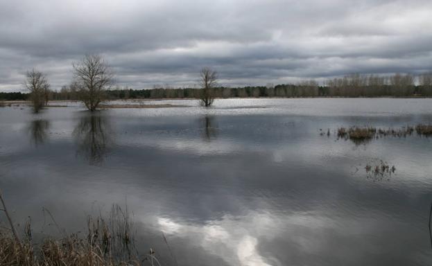 El Espadañal sigue a la espera de su inclusión en el catálogo de zonas húmedas de interés especial