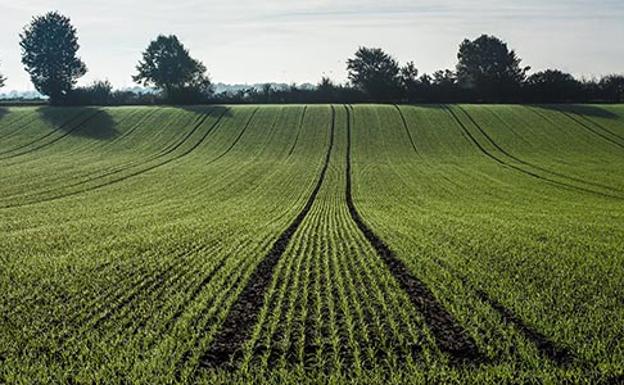 La Universidad de Salamanca participa en el proyecto nacional 'SOS Agua XXI'