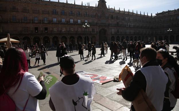 Una treintena de personas alzan la voz en la Plaza Mayor de Salamanca contra la caza