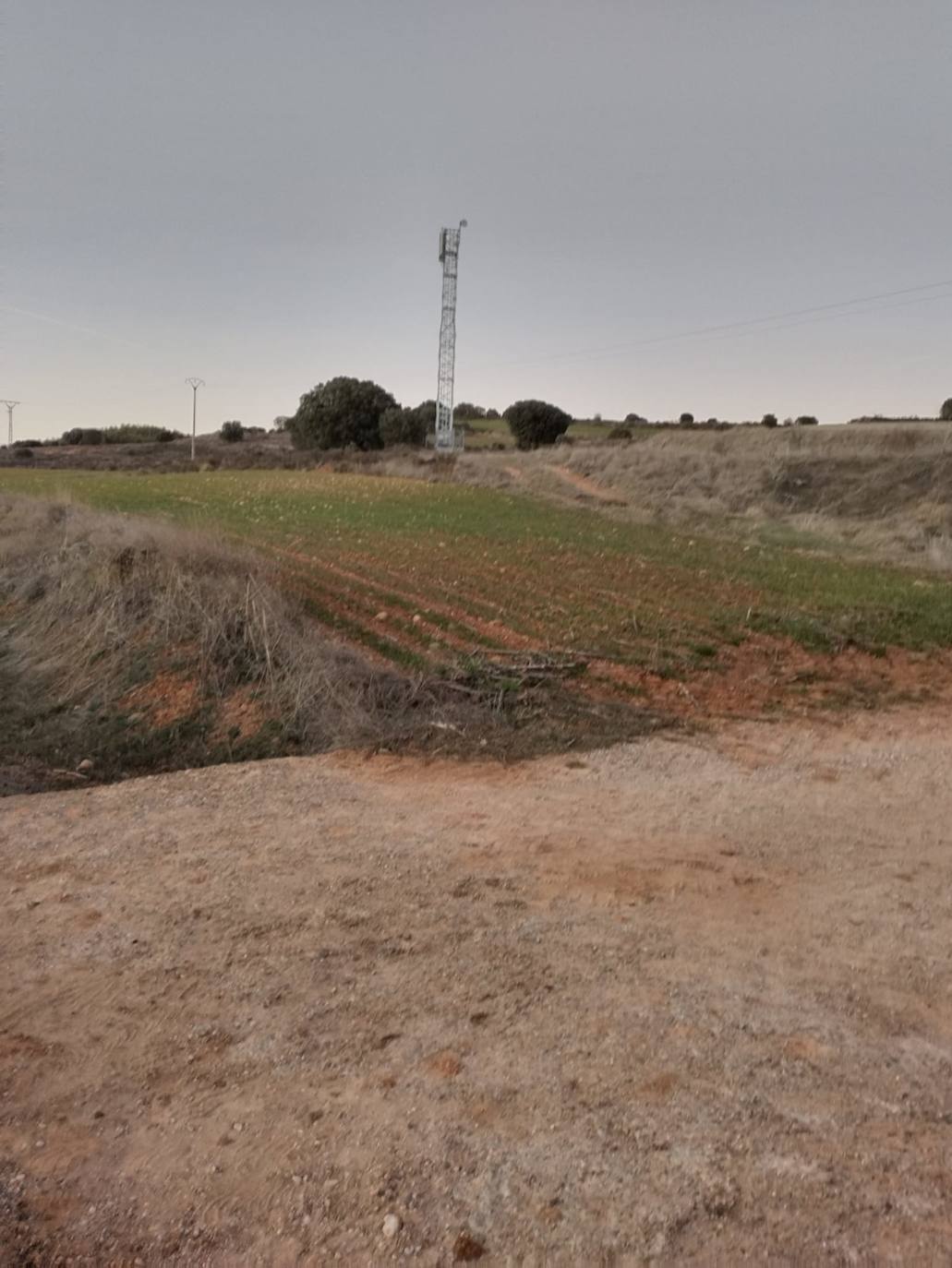 Los vecinos de San Pedro de Ojeda se quejan de llevar doce días sin cobertura telefónica