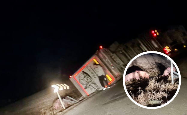 Herido un hombre al volcar el camión que conducía cargado de cerdos en Valdevacas