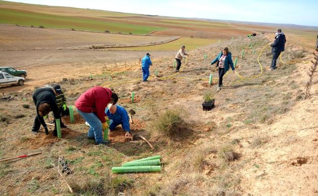 Más de 70 vecinos reforestan el paraje de la Cama de la loba de Villavicencio