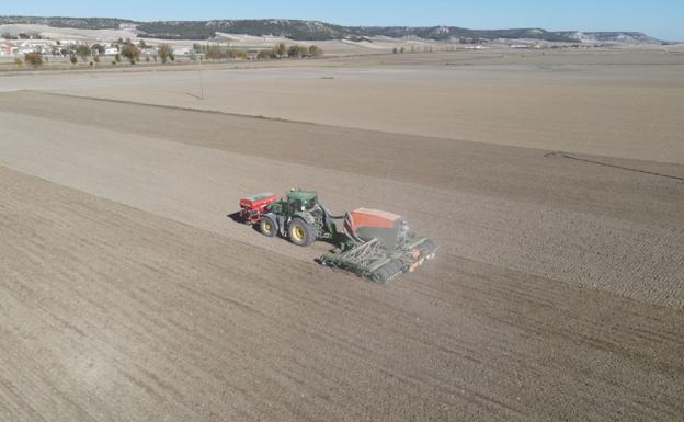 Las legumbres mantienen superficie a la espera de la PAC más beneficiosa de 2023