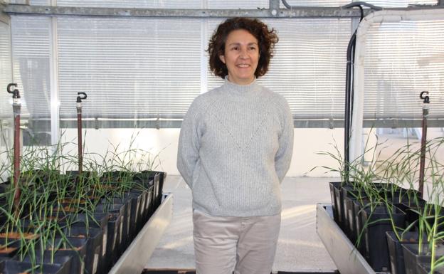 «En Castilla y León tenemos medios, conocimiento e infraestructuras para atraer talento científico»