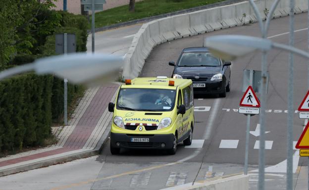 Herido un varón al chocar contra una vaca cerca del pantano de Santa Teresa de Salamanca