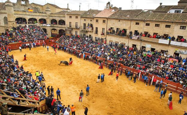 El Carnaval del Toro de Ciudad Rodrigo contará por primera vez con policía especializada en violencia de género