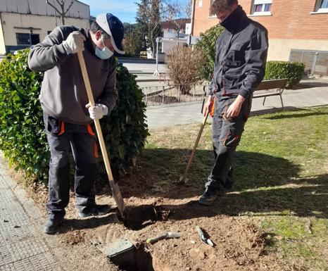 Continúan los trabajos teórico prácticos del alumnado del AFE Restaura Verde y AFE Alba Social