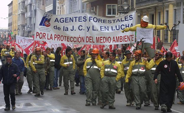 La sequía contribuye a multiplicar por diez la superficie arbolada quemada en enero