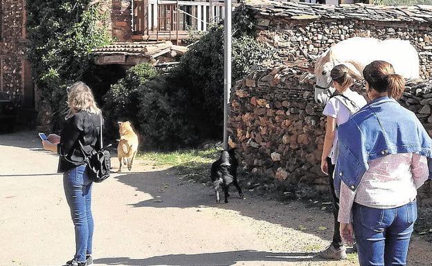 La Diputación de Segovia culmina la digitalización de la oferta turística de todos los municipios