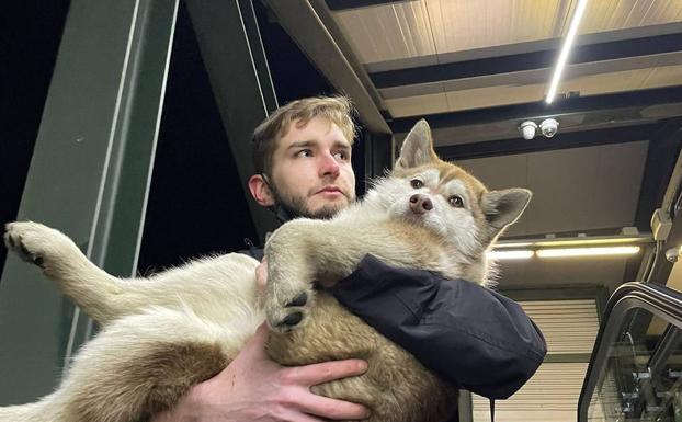 Hades, el cachorro que esquivaba trenes en Valladolid