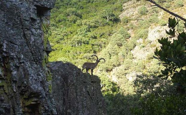 El parque Las Batuecas-Sierra de Francia acreditará empresas con la carta europea de turismo sostenible