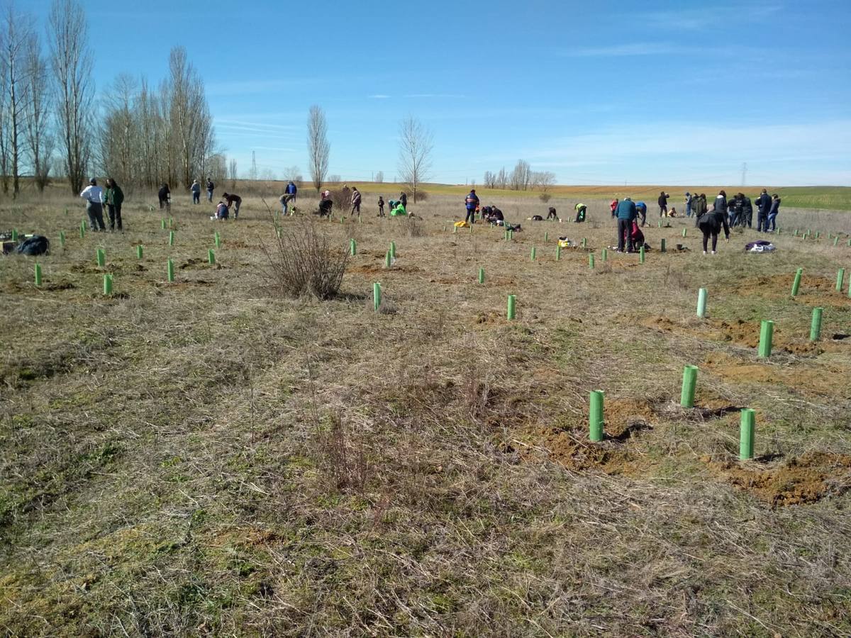 Vecinos de Villacid participan en la reforestación del entorno de la ermita de Bustillino