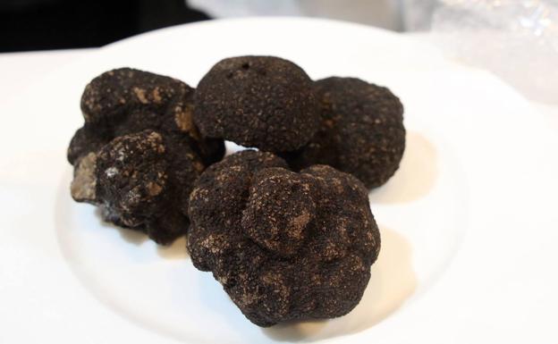 Ocho equipos de cocina competirán por el mejor plato de trufa negra de Soria