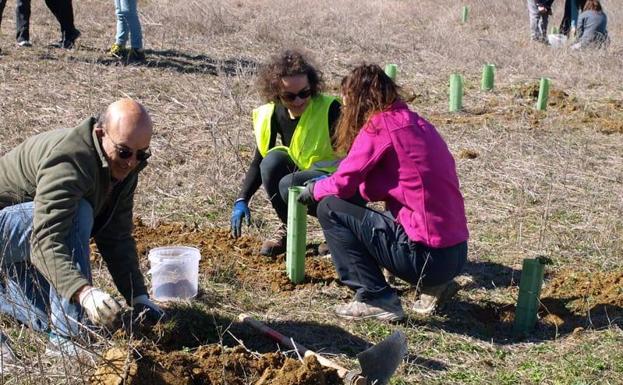 Vecinos de Villacid de Campos reforestan la ermita de Bustillino con más de 200 árboles