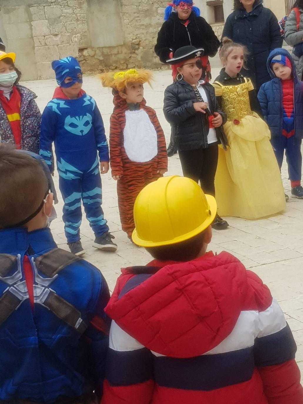 Todas las imágenes del carnaval en la provincia de Valladolid