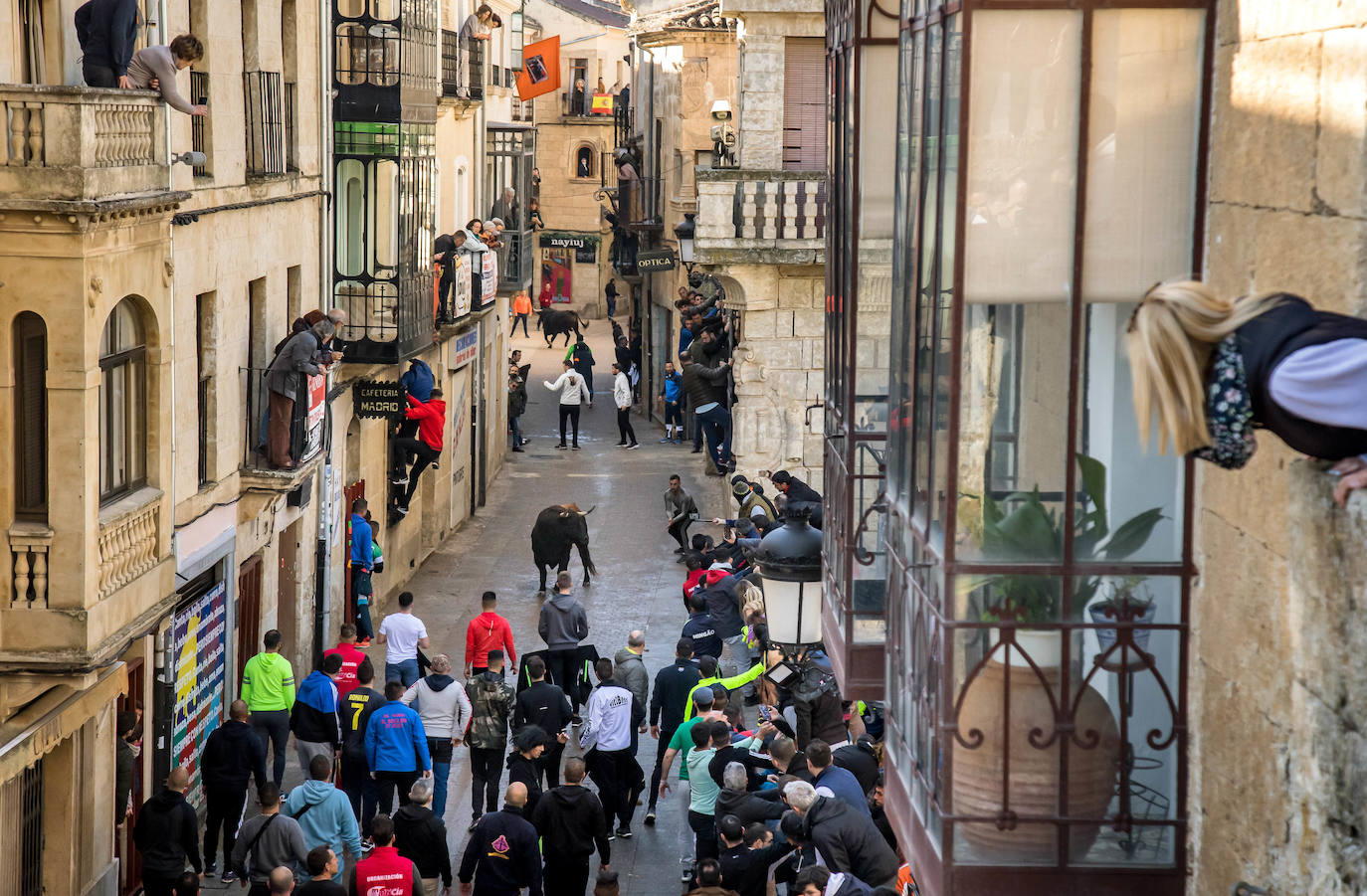 Un hombre resulta herido en la capea de Ciudad Rodrigo
