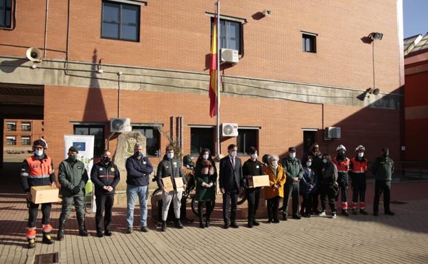 Salamanca se alía con los halcones para controlar las plagas de palomas y estorninos