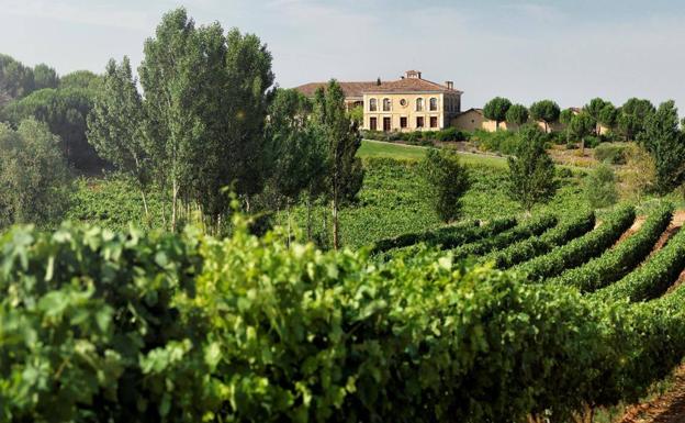 Las rutas del vino de Castilla y León buscan su internacionalización en Fine
